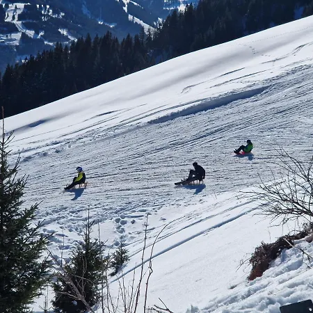 Elsa Immenstadt im Allgaeu