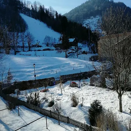 Apartament Elsa *