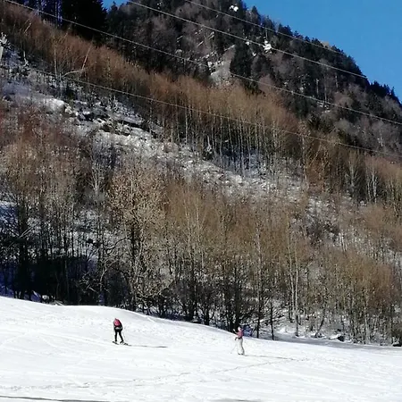 Elsa Apartment Immenstadt im Allgaeu