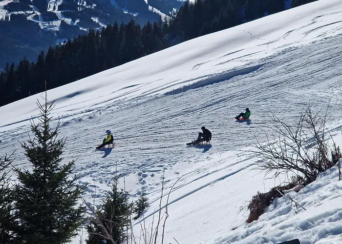 Elsa Immenstadt im Allgäu