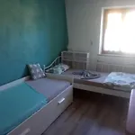 Elsa *
