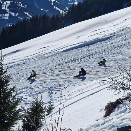 Elsa Immenstadt im Allgäu
